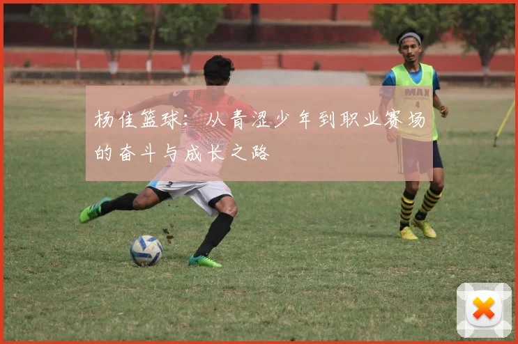 杨佳篮球：从青涩少年到职业赛场的奋斗与成长之路